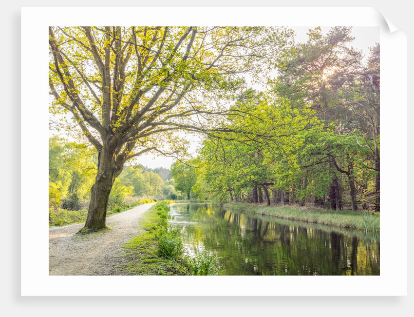 Canal on a spring day by Assaf Frank